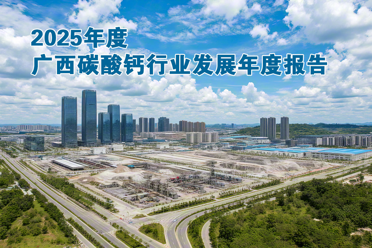 2025年度廣西碳酸鈣行業發展年度報告